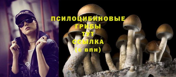 мяу мяу кристалл Баксан