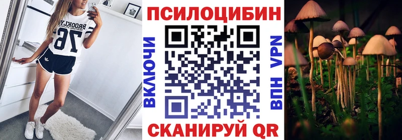 Галлюциногенные грибы ЛСД  Лодейное Поле 