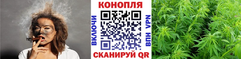 мориарти клад  MEGA ССЫЛКА  МАРИХУАНА Bruce Banner  Лодейное Поле  купить  